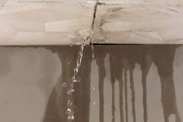 Professional Structural Drying technician working in Smiths Creek, MI